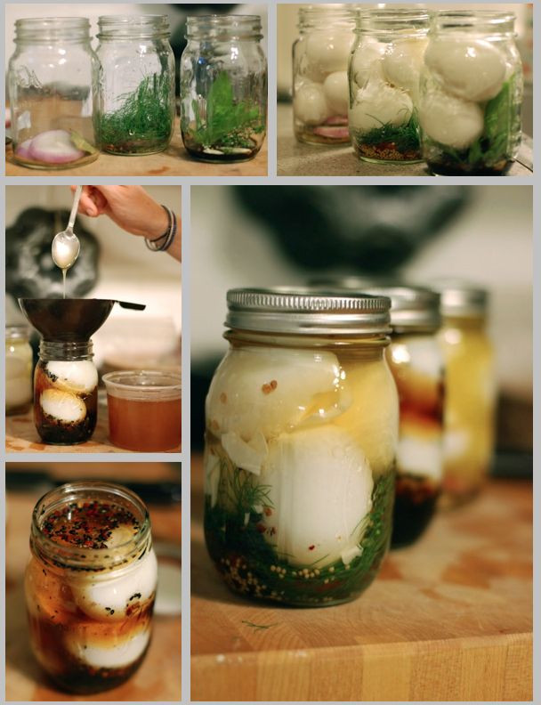 Pickled Duck Eggs
 43 best Duck Recipes images on Pinterest