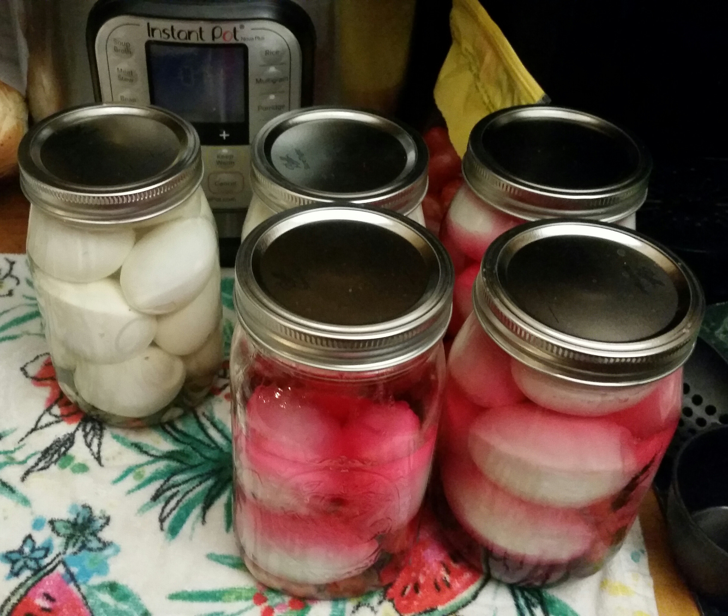 Pickled Duck Eggs
 Pickled some duck eggs today First try fingers crossed