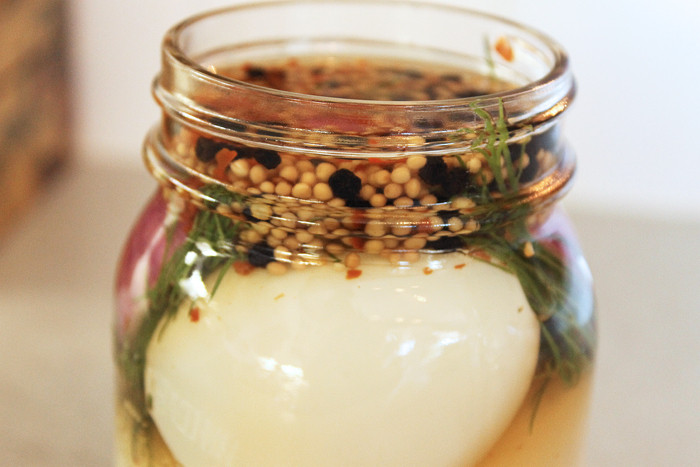 Pickled Duck Eggs
 DIY How to Make Pickled Duck Eggs