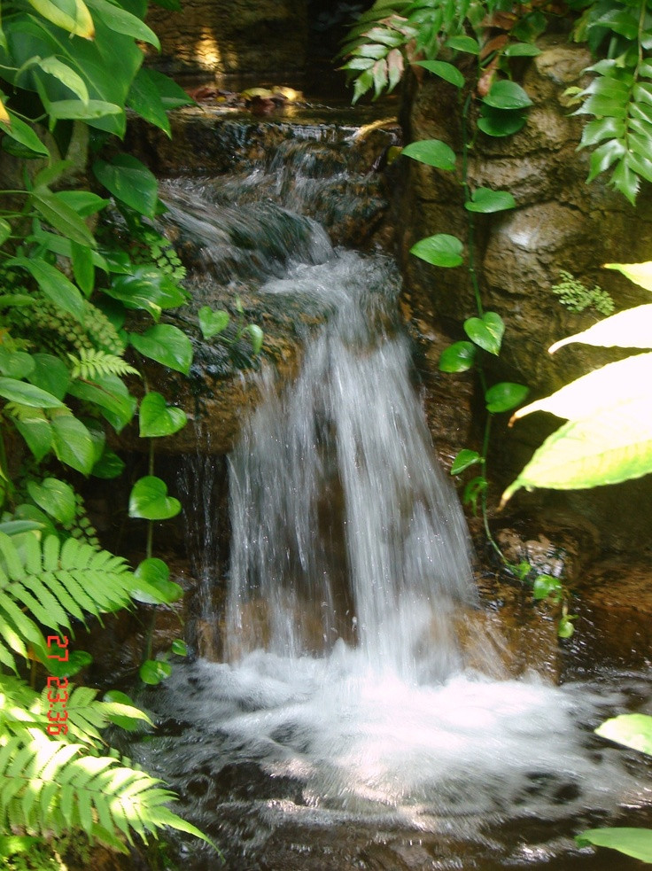 Pictures Of Backyard Waterfalls
 63 Relaxing Garden And Backyard Waterfalls