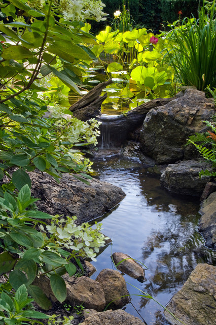 Pictures Of Backyard Waterfalls
 75 Relaxing Garden And Backyard Waterfalls DigsDigs