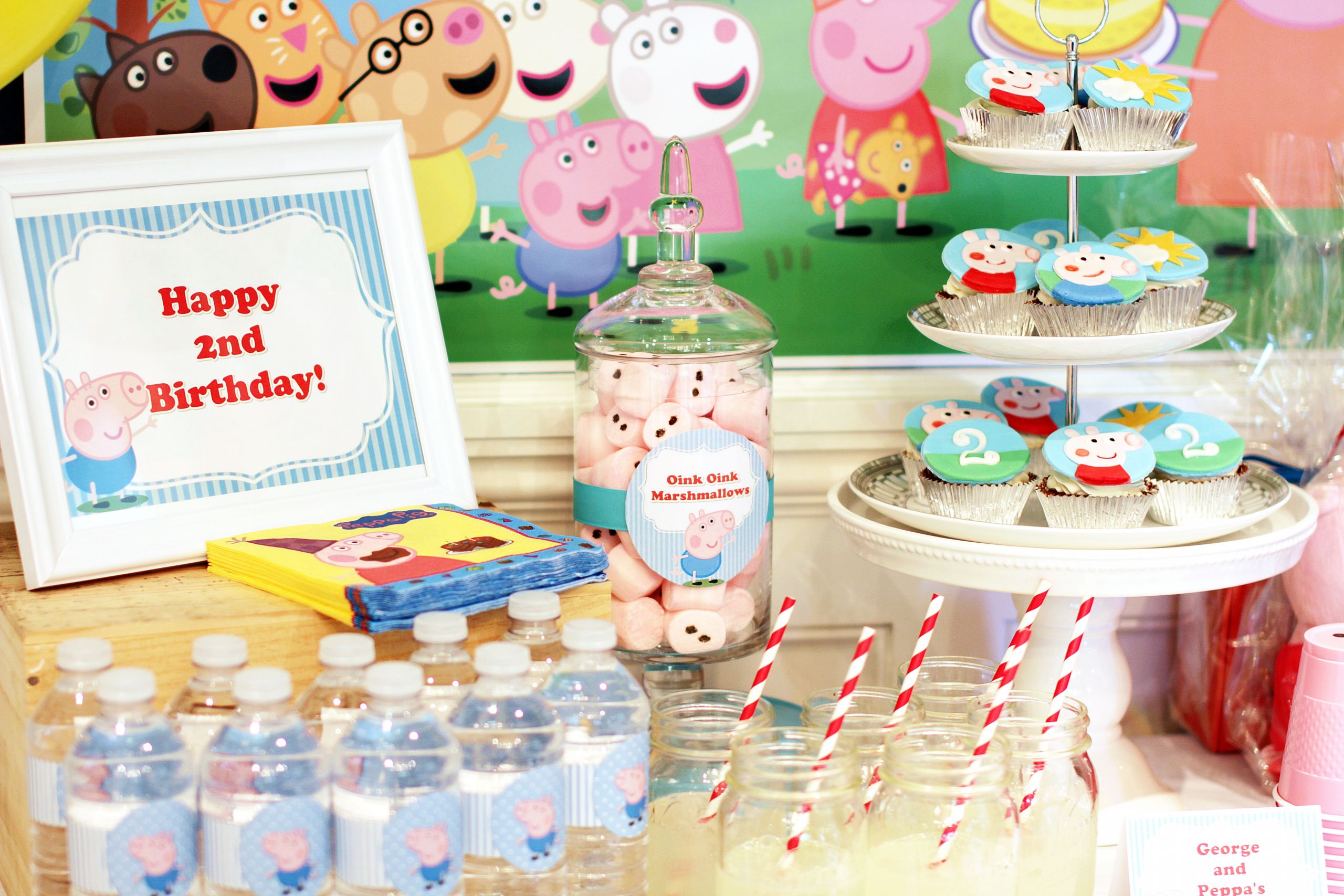 Pig Birthday Party
 Peppa and George Pig Birthday Party – Part 1