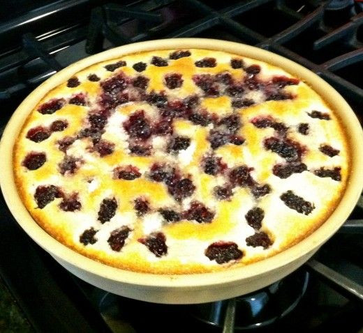 Pioneer Woman Desserts For Summer
 Blackberry cobbler courtesy of the Pioneer Woman the