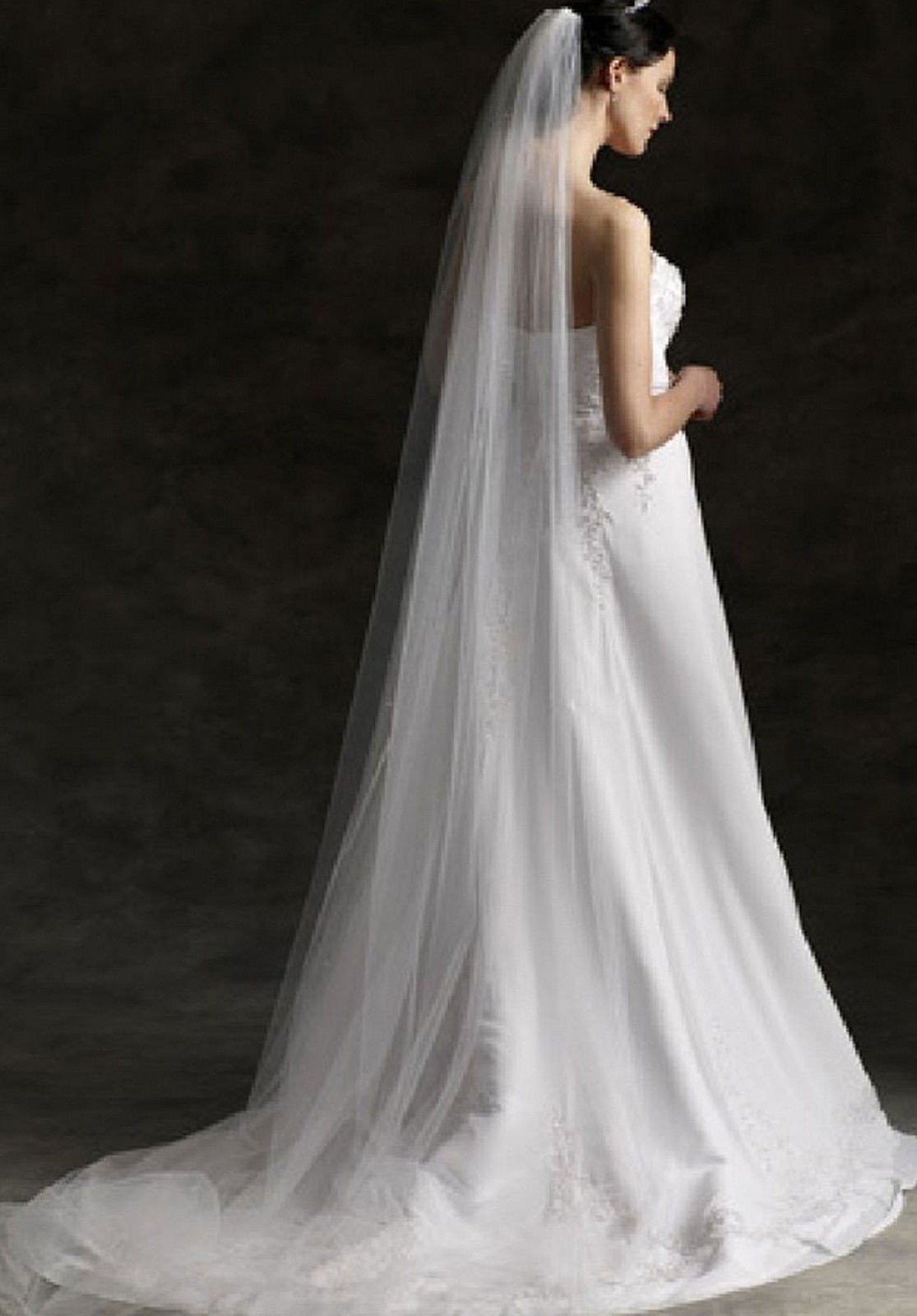 Plain Wedding Veils
 Plain Single Tier Cathedral Length Tulle Veil With Raw