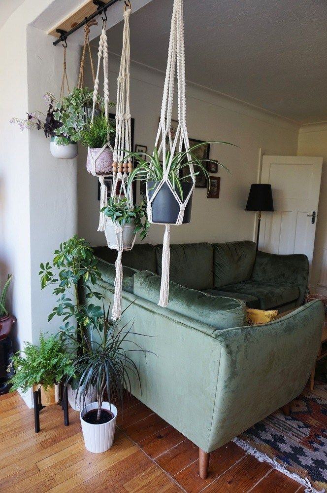 Plants In Living Room Ideas
 10 Excellent Ideas To Display Living Room Indoor Plants