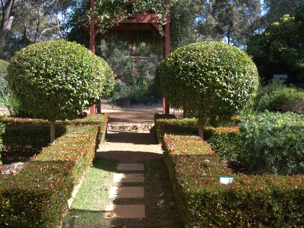 Plants Outdoor Landscape
 The New Formal Garden With Australian Plants