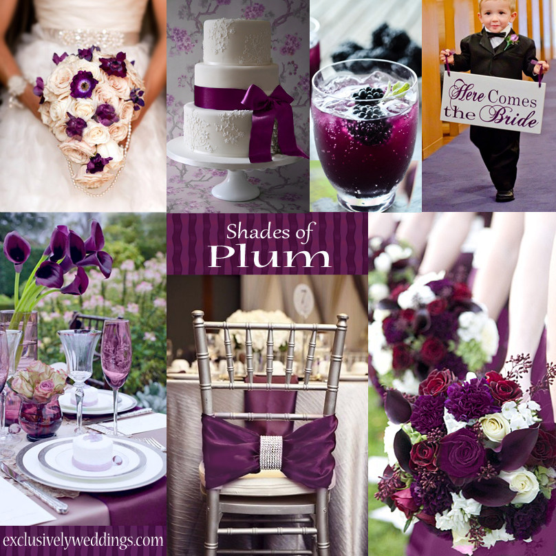 Plum Wedding Color Schemes
 Plum Wedding Color Four Fantastic Choices