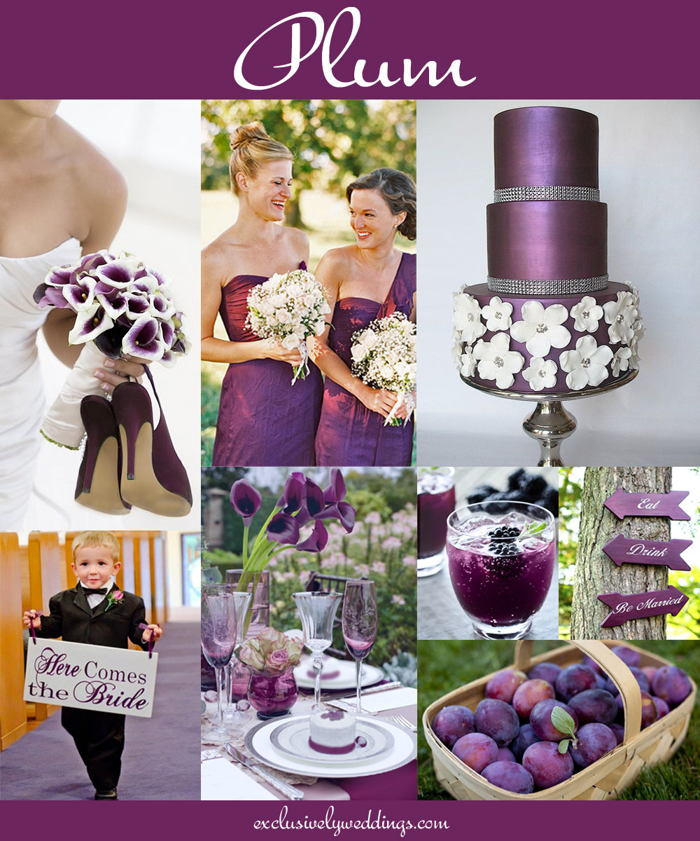 Plum Wedding Color Schemes
 Your Wedding Color – Don’t Overlook Five Luscious Shades