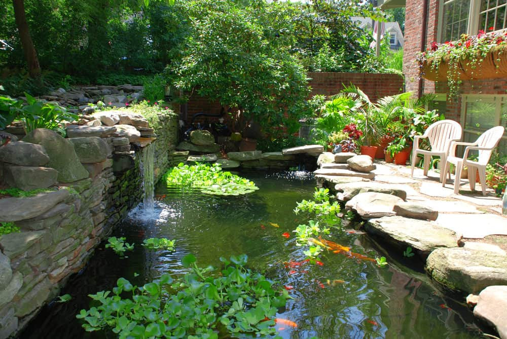 Pond In Backyard
 60 Backyard Pond Ideas s