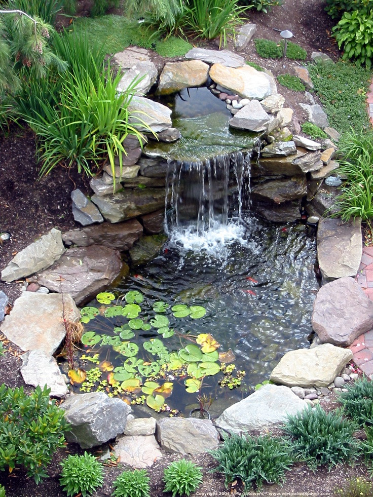 Pond In Backyard
 53 Cool Backyard Pond Design Ideas