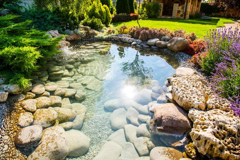 Pond In Backyard
 60 Backyard Pond Ideas s