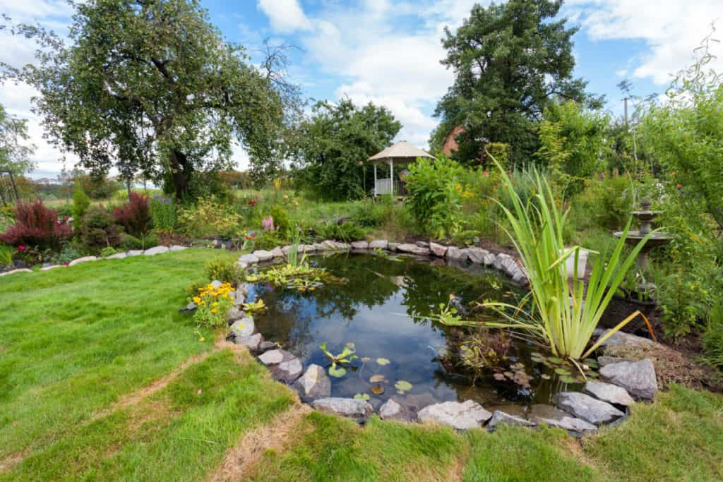 Pond In Backyard
 7 Ways To Keep Your Pond Clear