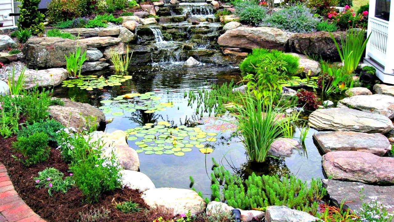 Pond In Backyard
 Building a Backyard Pond