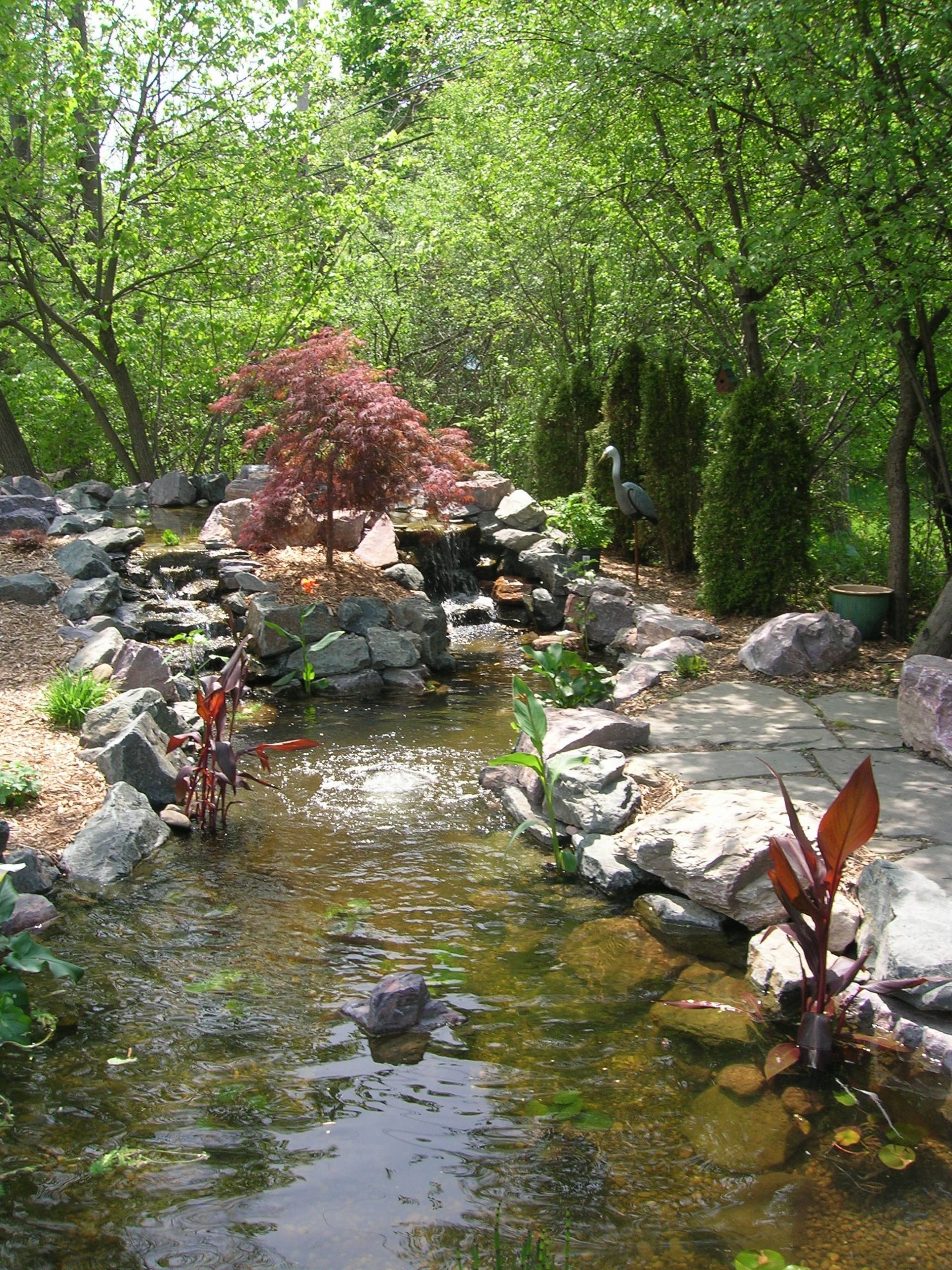 Pond In Backyard
 Koi Pond in SE Michigan Landscape Artisan