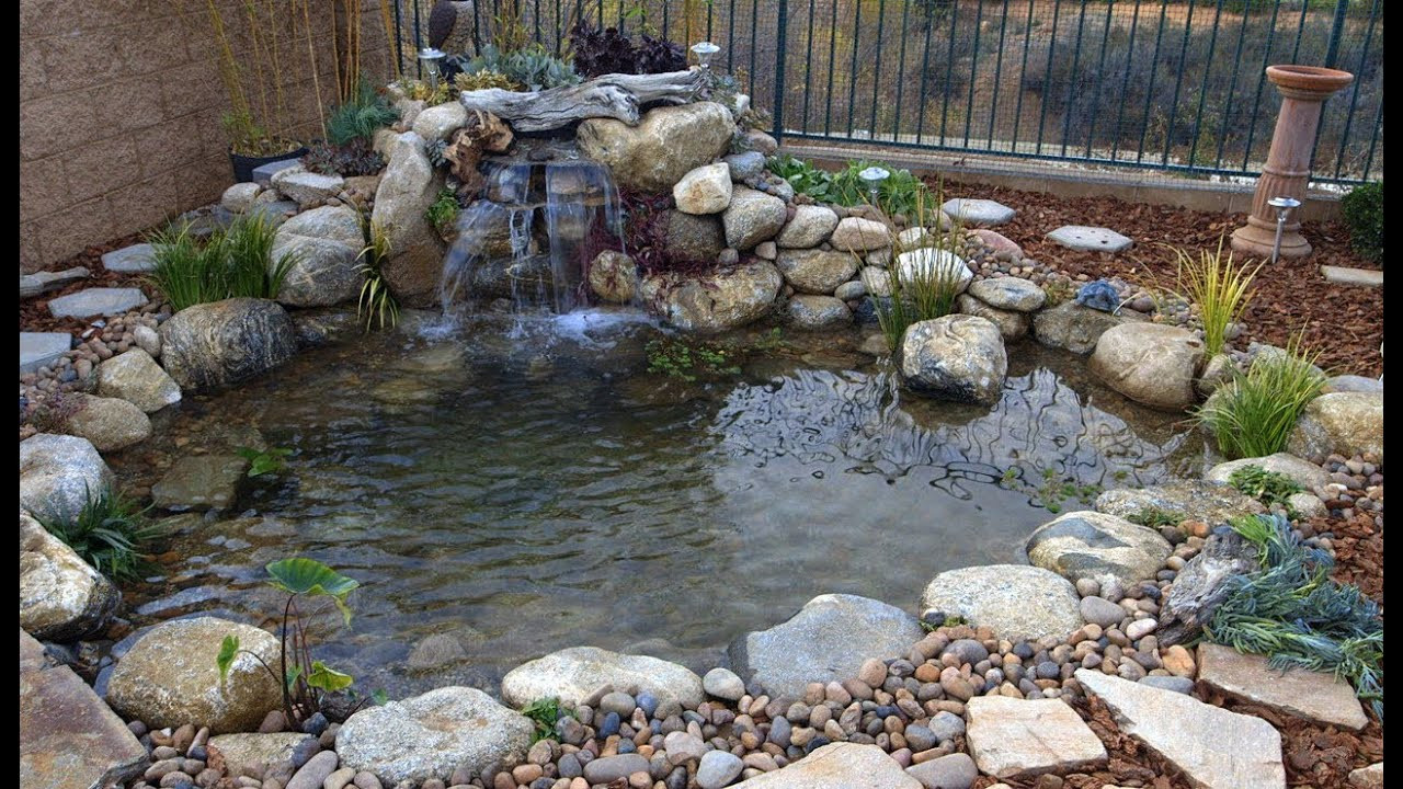 Pond In Backyard
 Ponds Gone Wrong