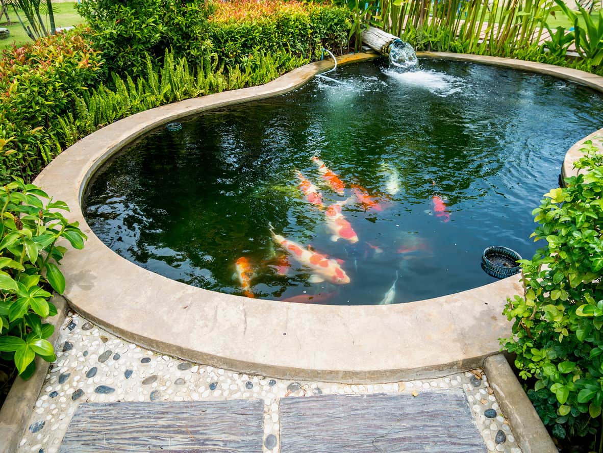 Pond In Backyard
 60 Backyard Pond Ideas s