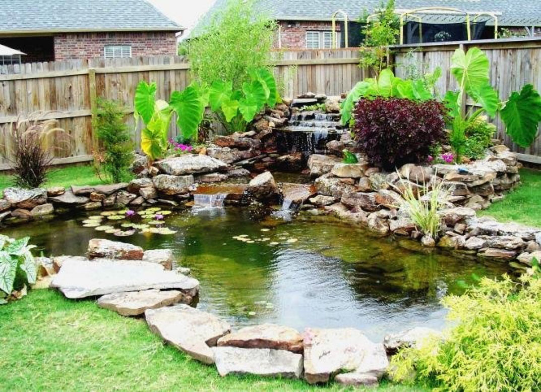 Pond In Backyard
 7 Most Breathtaking Koi Fish Ponds Qnud