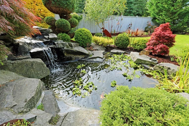 Pond In Backyard
 Garden Pools Fountains & Water Features