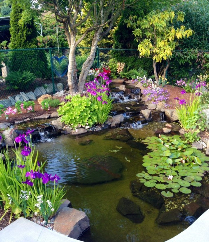 Pond In Backyard
 20 Beautiful Backyard Waterfalls And Ponds You Should Not