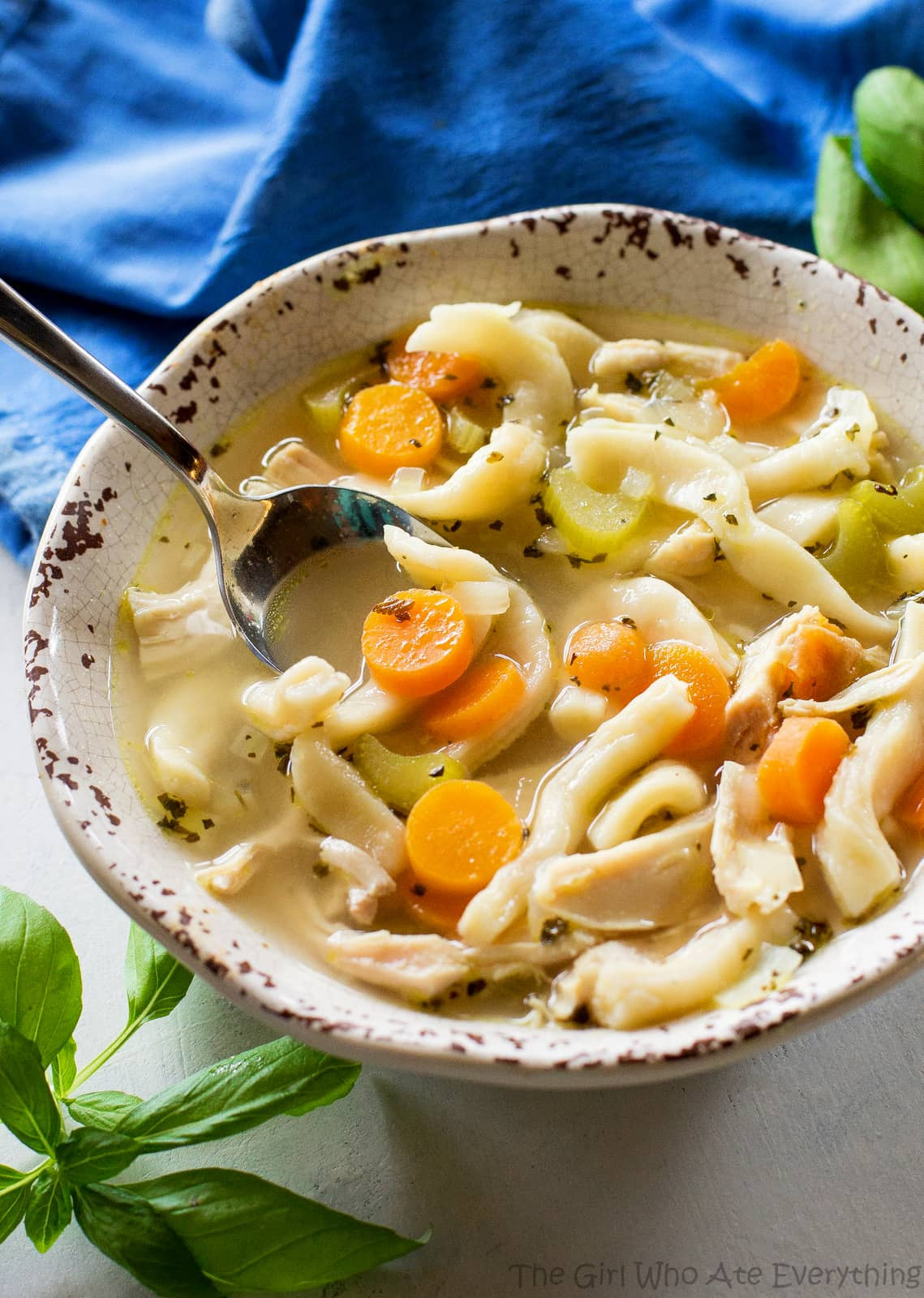 Pork Noodle Soup
 Homemade Chicken Noodle Soup The Girl Who Ate Everything