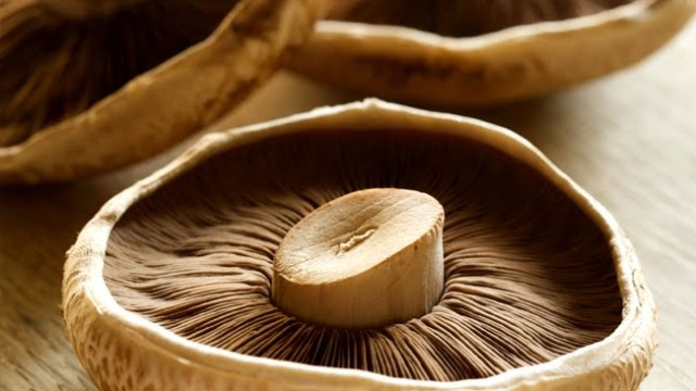 Portobello Mushrooms Dangerous
 10 Edible and Poisonous Mushrooms Guide to Mushroom