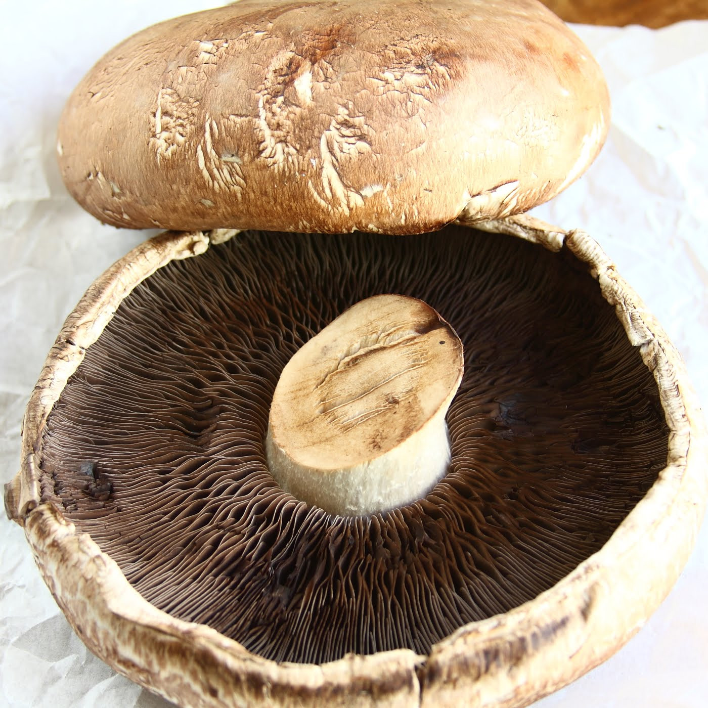 Portobello Mushrooms Dangerous
 ShowFood Chef Portobello Mushroom Fries Simple Saturday