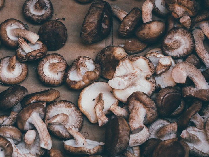 Portobello Mushrooms Dangerous
 Tell Tale Signs Your Mushrooms Have Gone Bad Oola