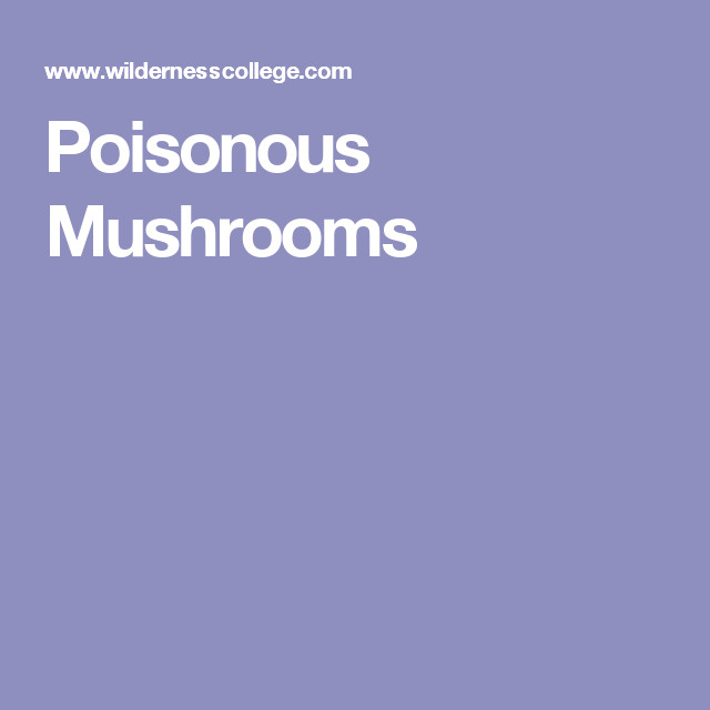 Portobello Mushrooms Dangerous
 Poisonous Mushrooms