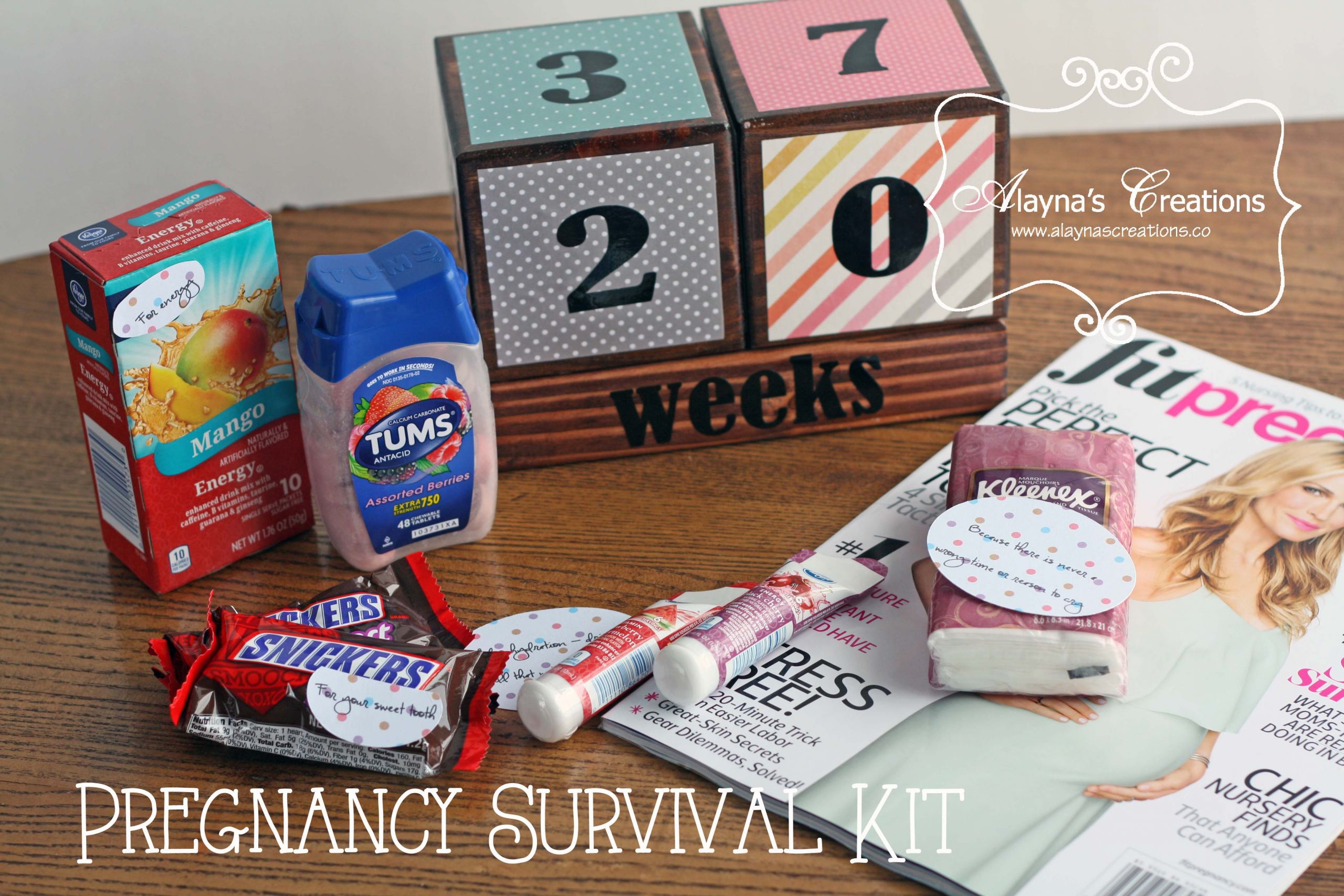 Pregnancy Gift Basket Ideas
 Pregnancy Survival Kit – Gift Basket Idea – alaynascreations