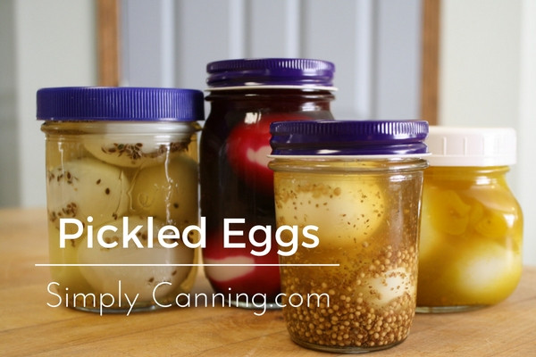 Pressure Canning Pickled Eggs
 Simple Pickled Eggs Recipe How to make hard boiled