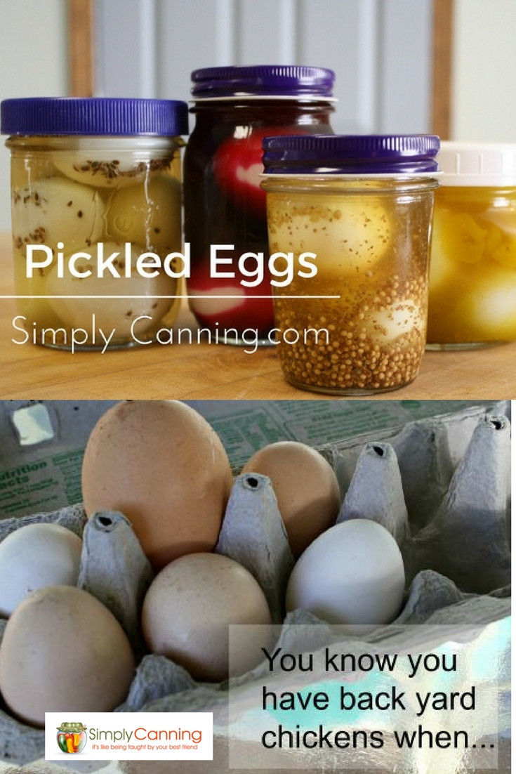 Pressure Canning Pickled Eggs
 Pickled eggs is an optional way to preserve and store