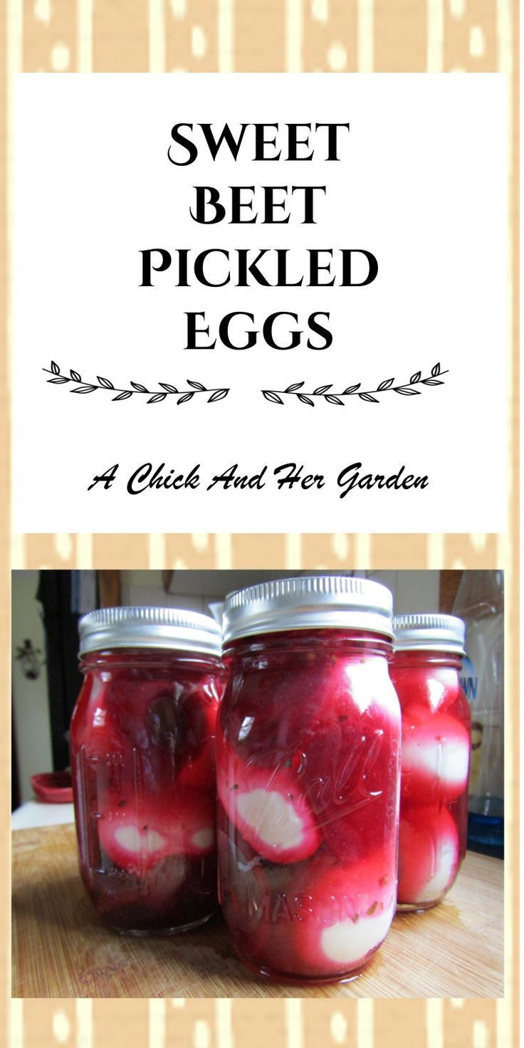 Pressure Canning Pickled Eggs
 Sweet Beet Pickled Eggs Recipe