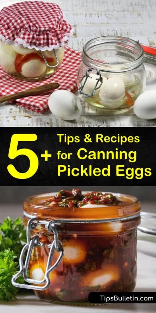 Pressure Canning Pickled Eggs
 Pin on Canning and Preserving