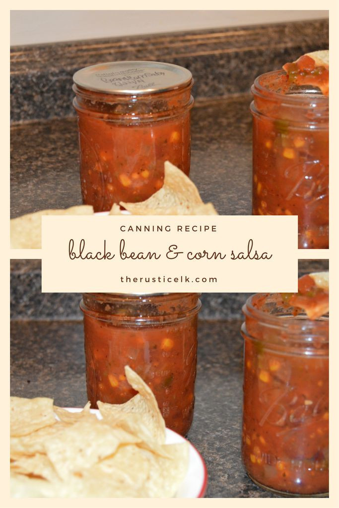 Pressure Canning Salsa Recipe
 Top 23 Pressure Canning Salsa Recipe Best Round Up