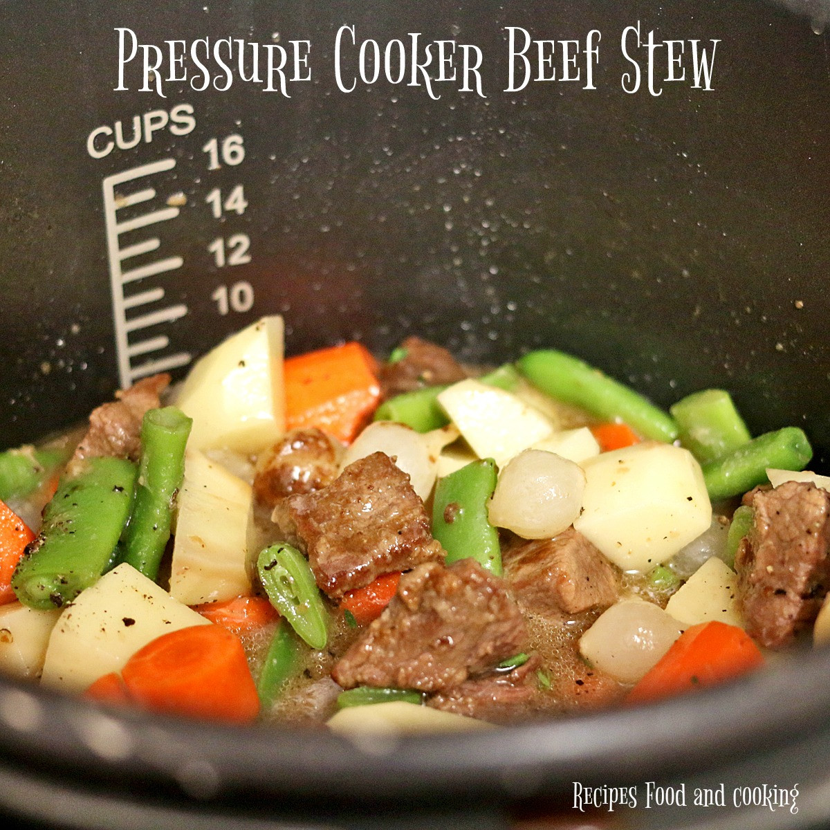 Pressure Cooker Stew Recipes
 Pressure Cooker Beef Stew