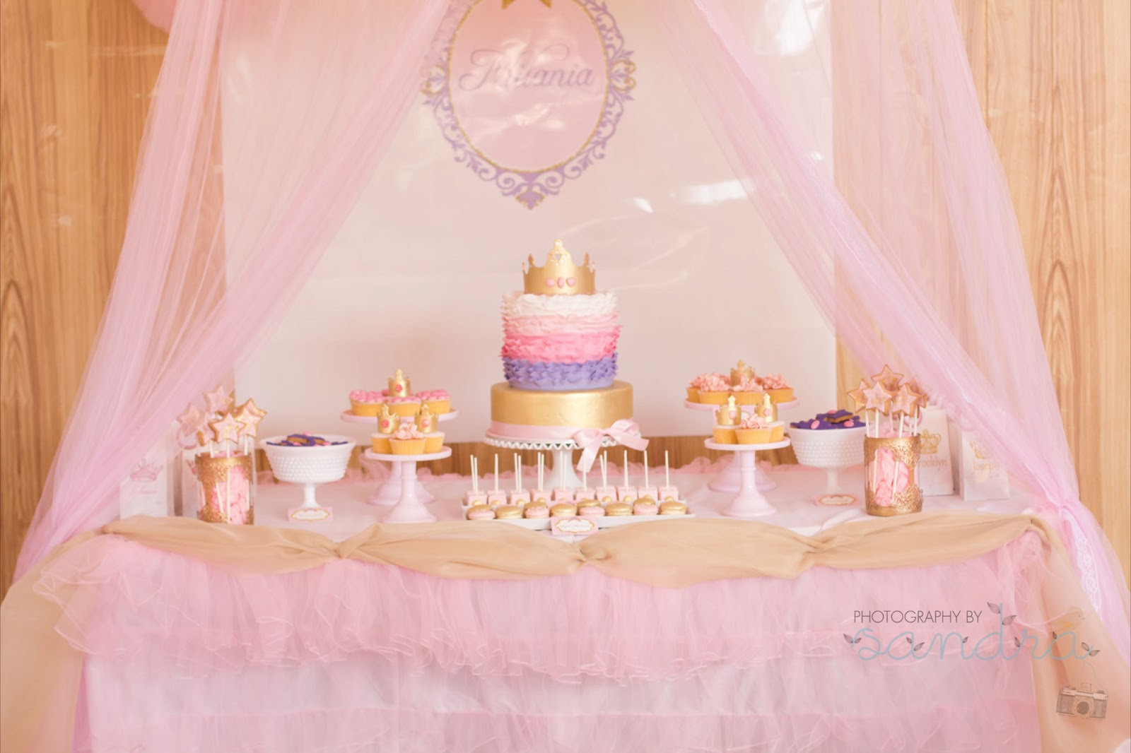 Princess Birthday Decorations
 Little Big pany