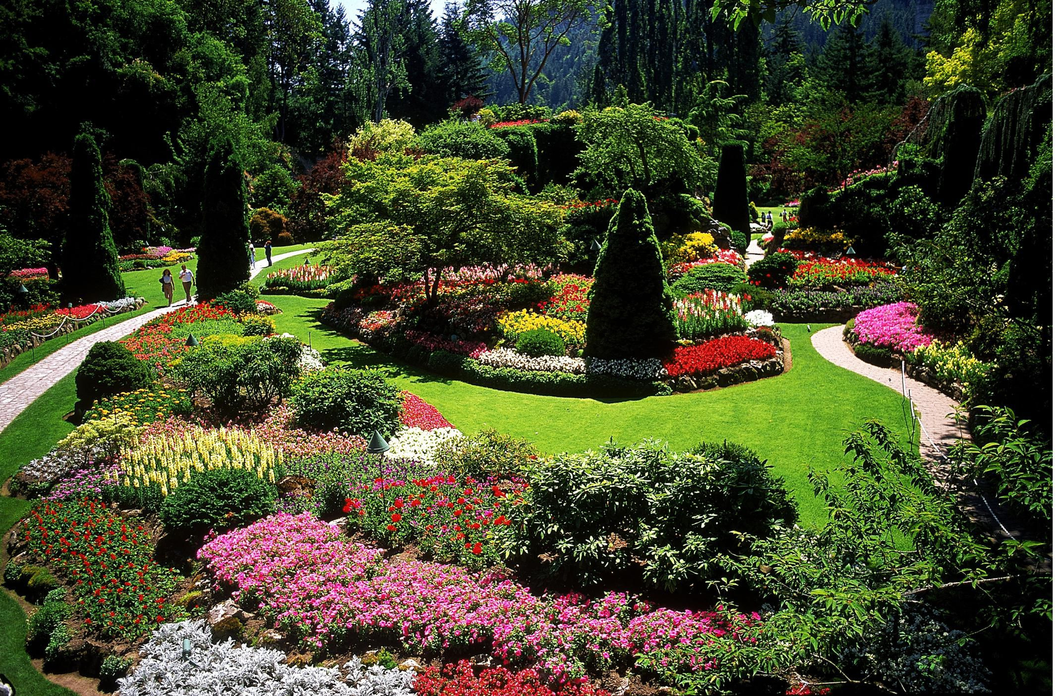 Principles Of Landscape Design
 Designing a Garden With Landscape Design Principles