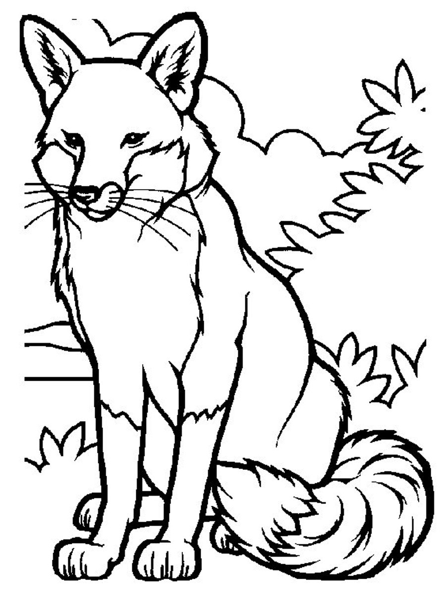 Printable Fox Coloring Pages
 Free Printable Fox Coloring Pages For Kids