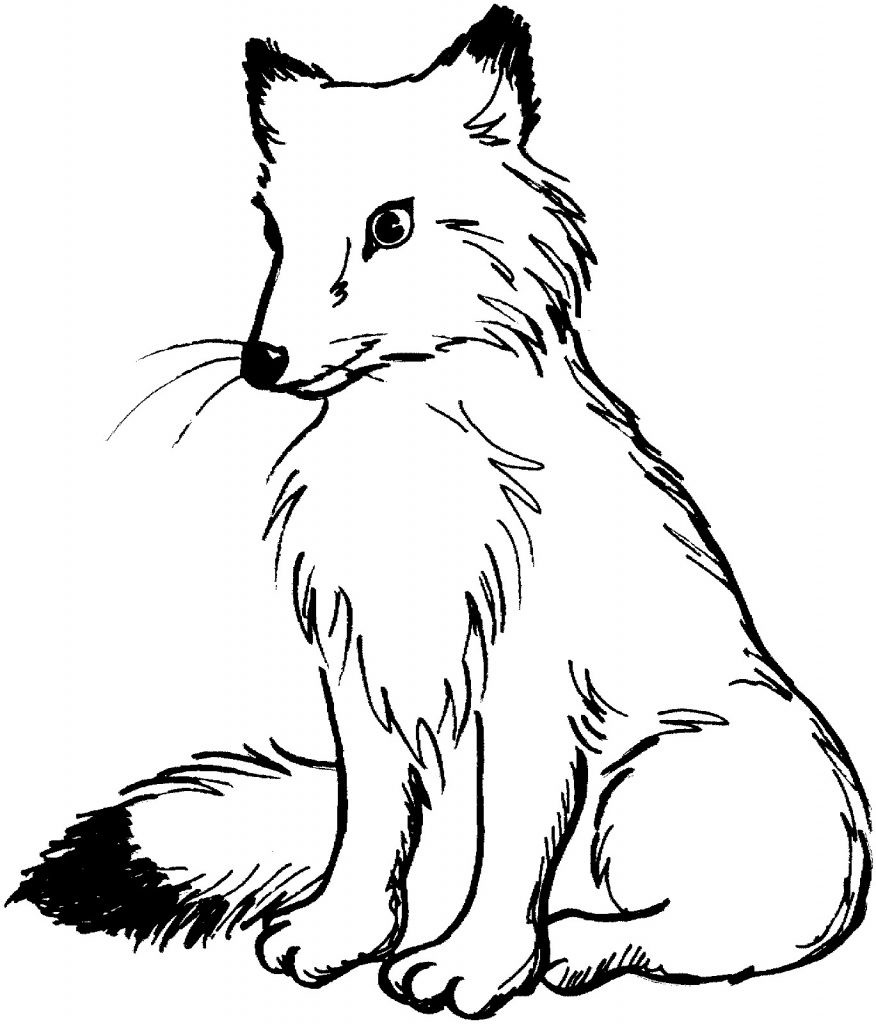 Printable Fox Coloring Pages
 Free Printable Fox Coloring Pages For Kids