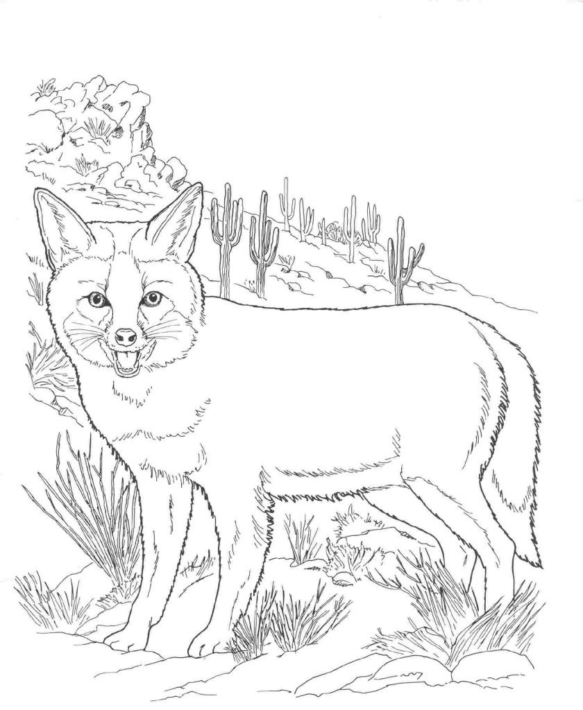 Printable Fox Coloring Pages
 Free Printable Fox Coloring Pages For Kids