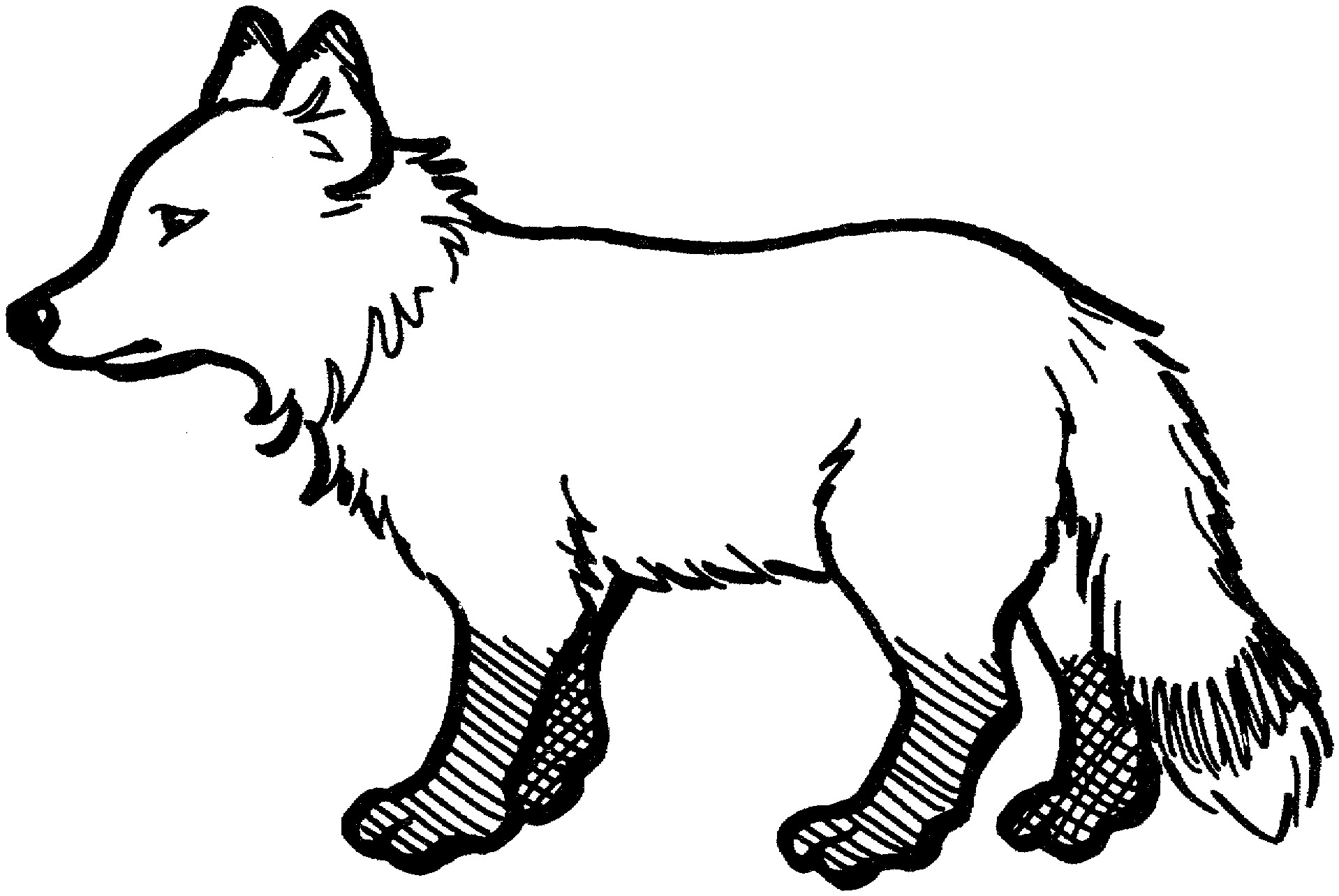 Printable Fox Coloring Pages
 Free Fox Coloring Pages