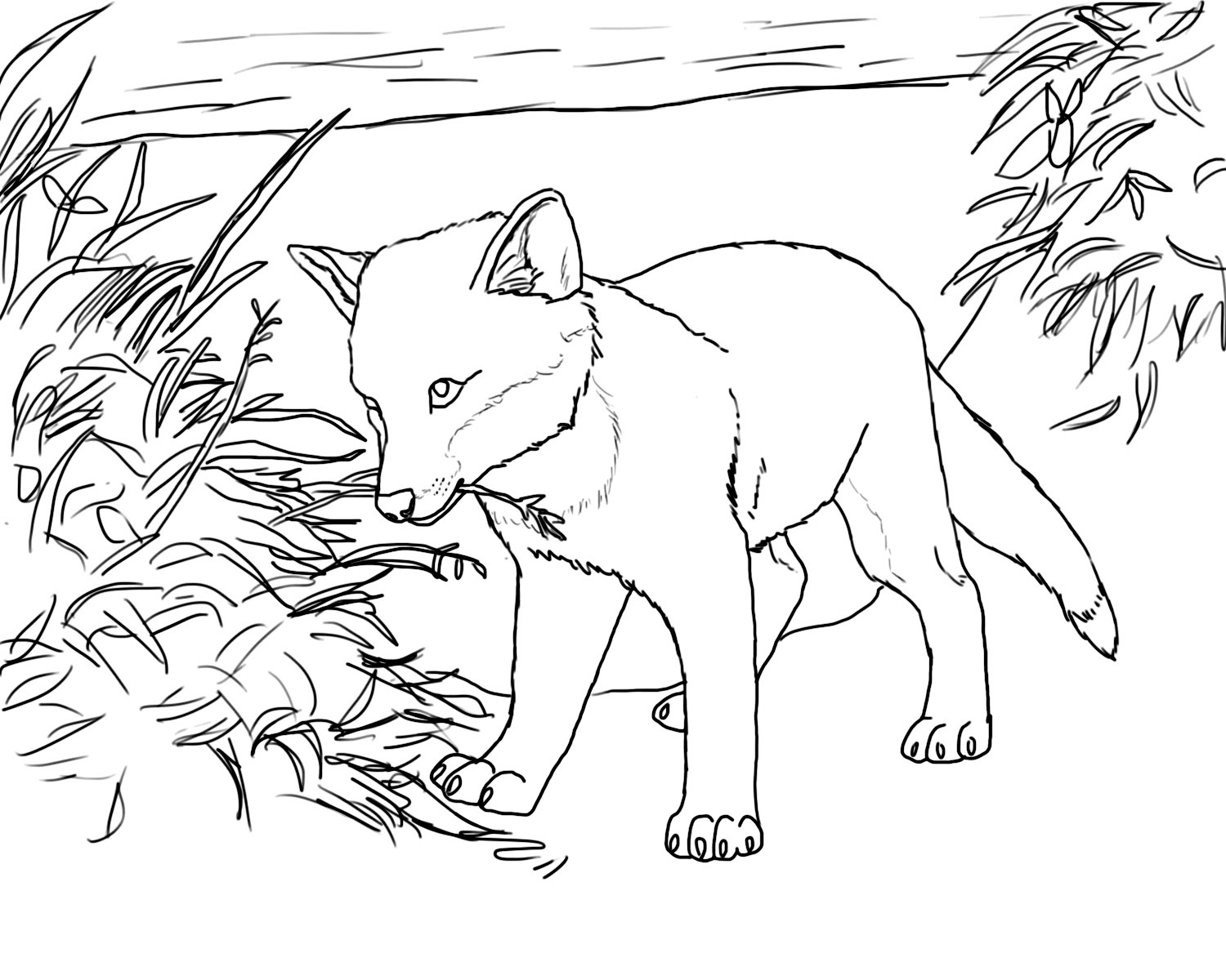 Printable Fox Coloring Pages
 Free Printable Fox Coloring Pages For Kids