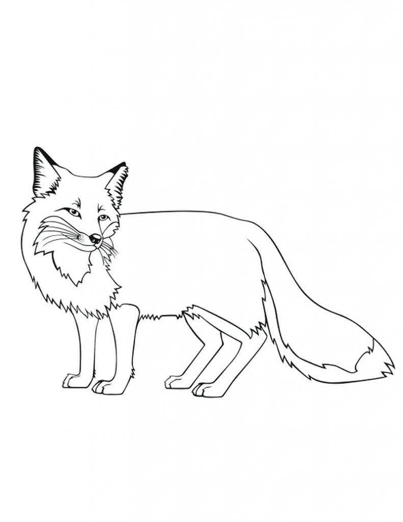 Printable Fox Coloring Pages
 Free Printable Fox Coloring Pages For Kids