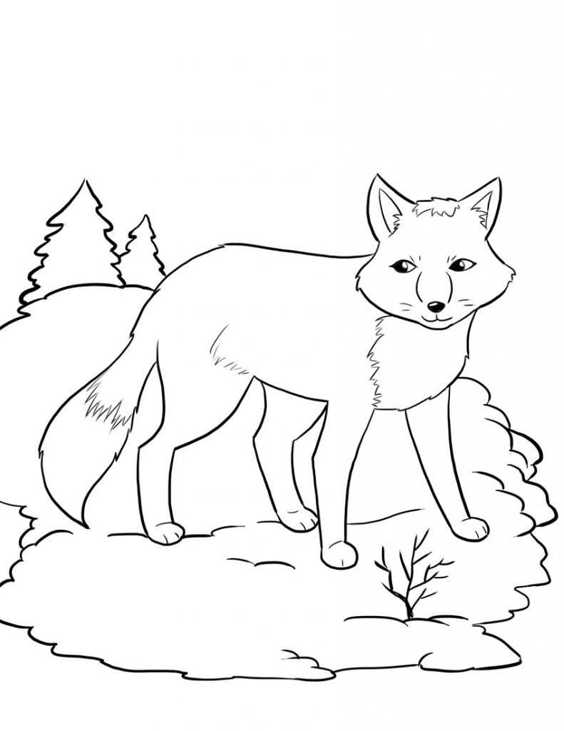 Printable Fox Coloring Pages
 Free Printable Fox Coloring Pages For Kids