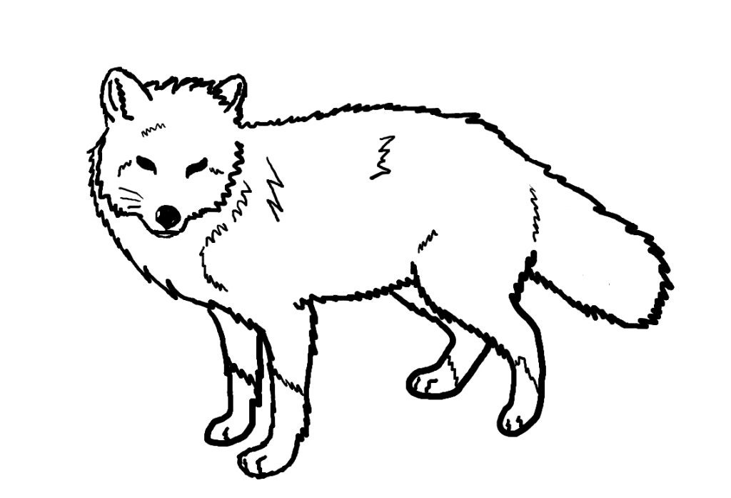 Printable Fox Coloring Pages
 Free Printable Fox Coloring Pages For Kids