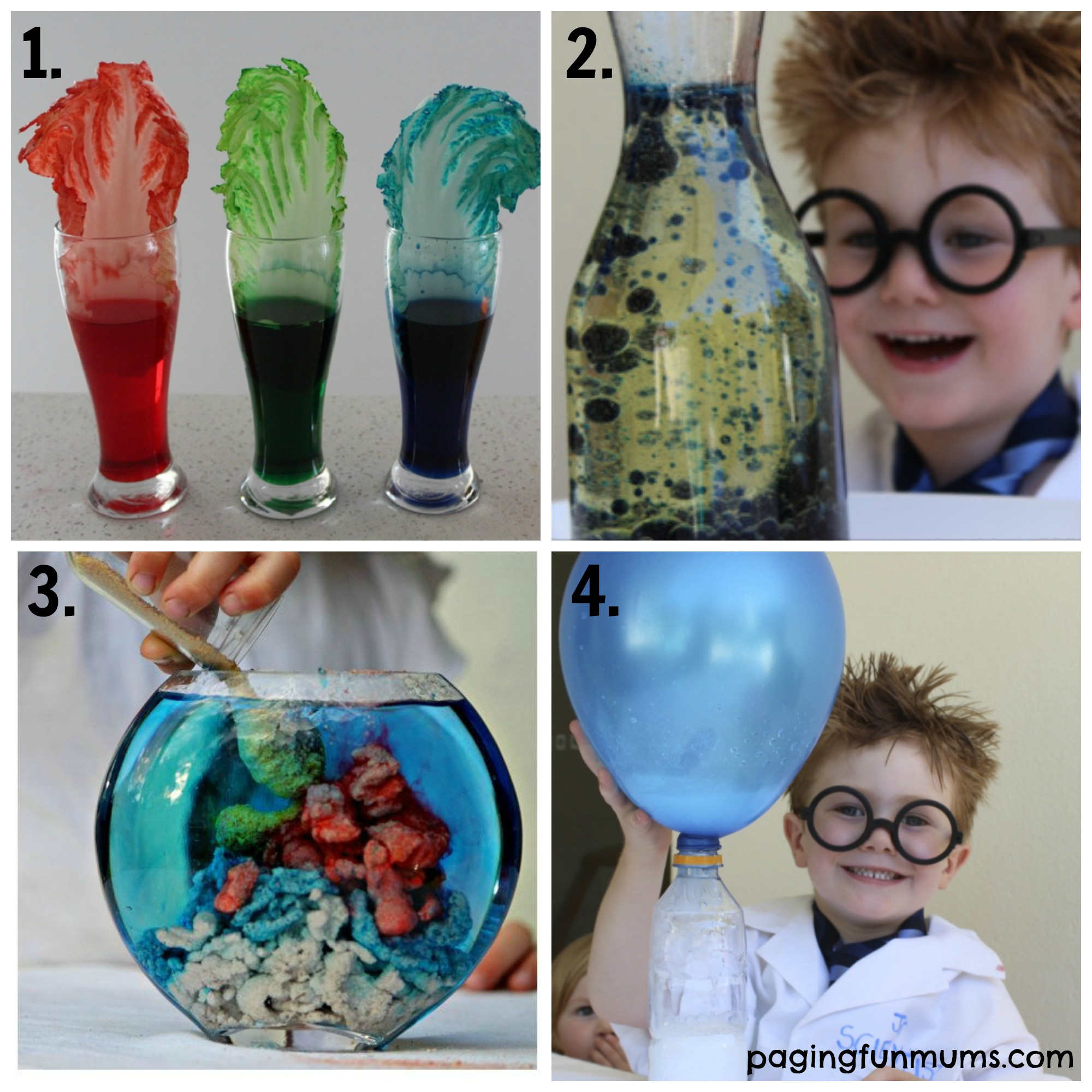 Projects For Kids At Home
 21 Fun Science Experiments for Kids 1 4 Paging Fun Mums