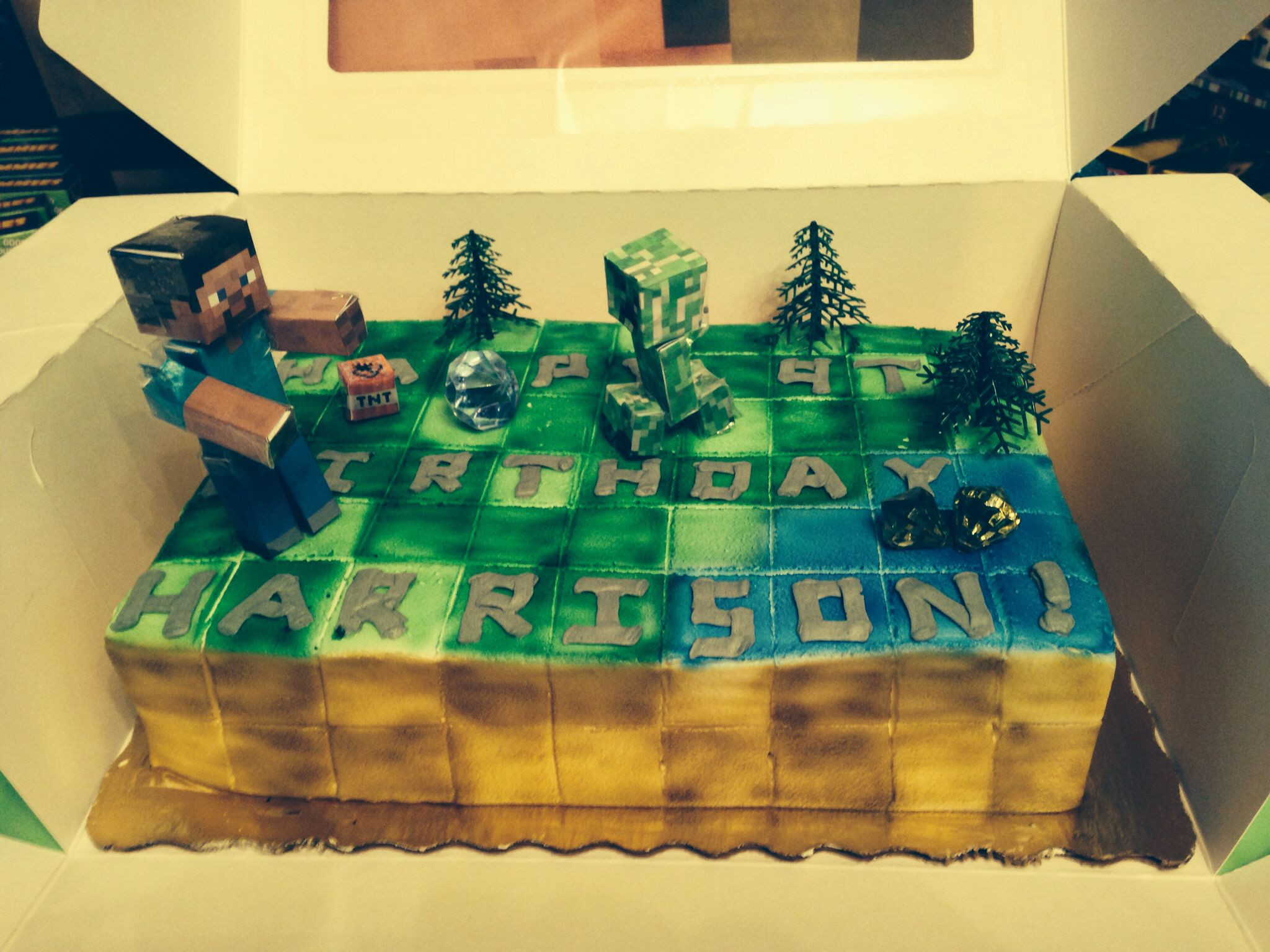 Publix Cakes Designs Birthday
 Minecraft publix s cake