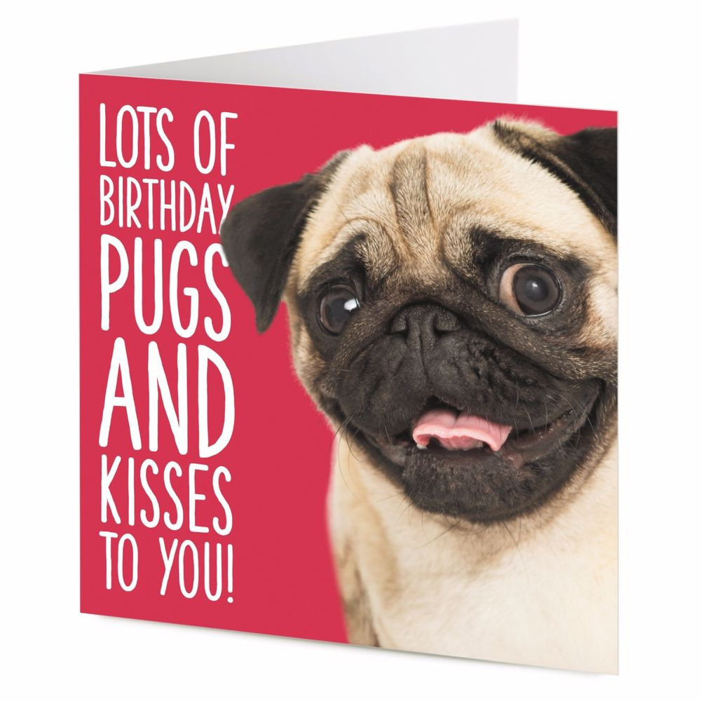 Pug Birthday Cards
 Lots of birthday pugs and kisses to you Smiley cute Pug