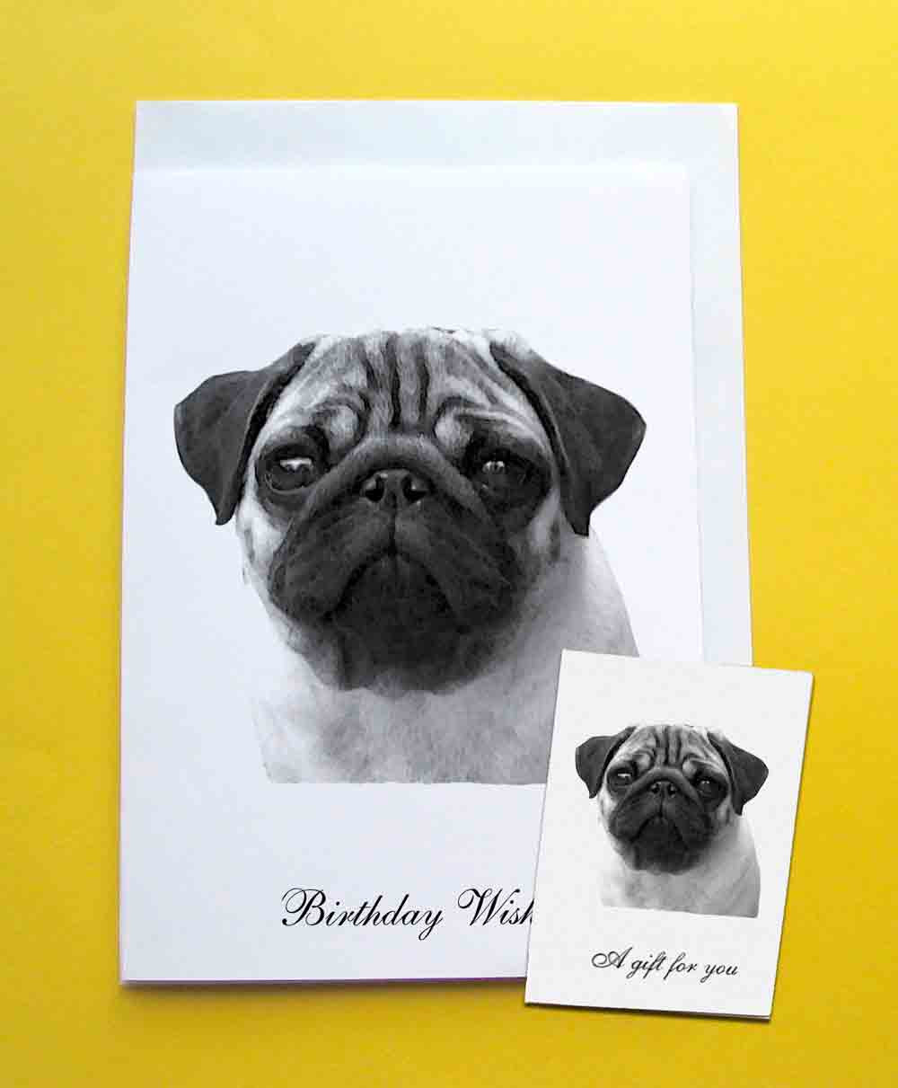 Pug Birthday Cards
 Pug Birthday Card & Gift Tag