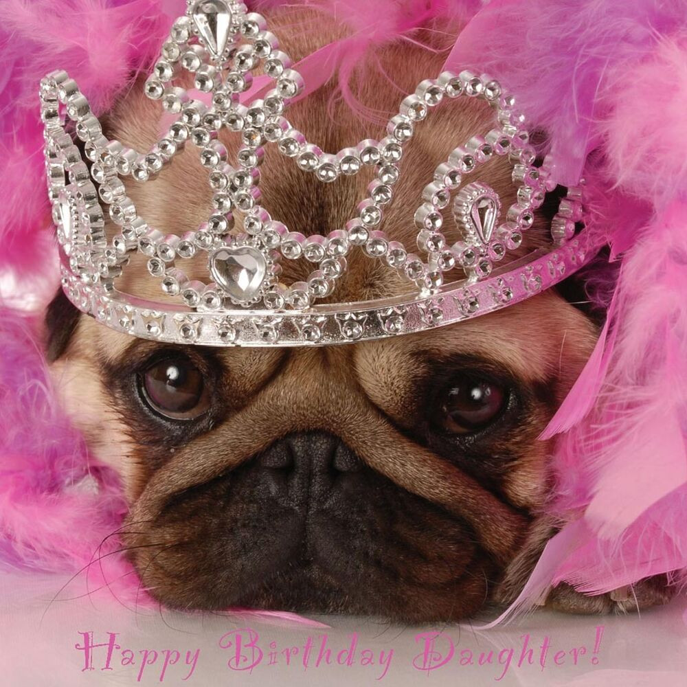 Pug Birthday Cards
 Daughter Happy Birthday Card Princess Pug Puppy Dog